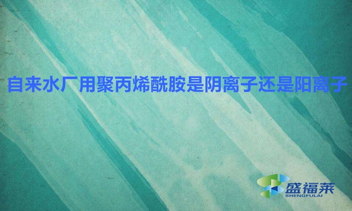自來水廠用聚丙烯酰胺是陰離子還是陽(yáng)離子