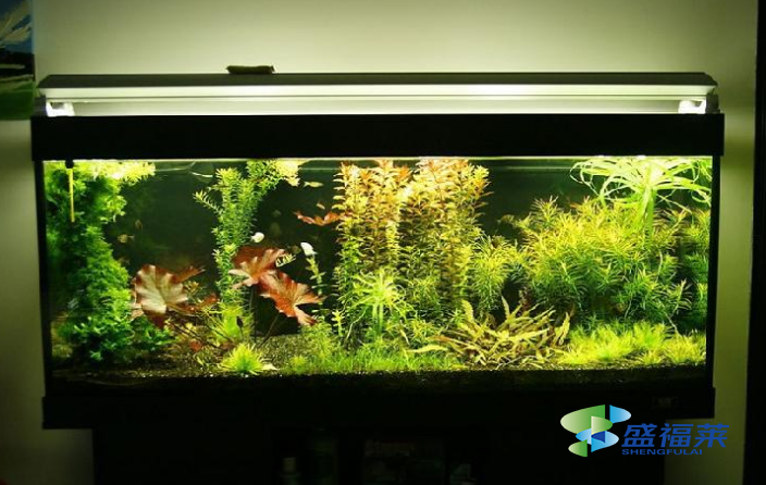怎么去除魚(yú)缸氨氮亞硝酸鹽