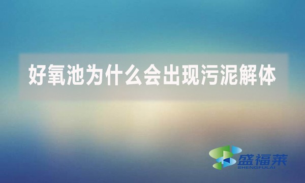 好氧池為什么會(huì)出現(xiàn)污泥解體？上清液細(xì)碎污泥多是怎么回事？
