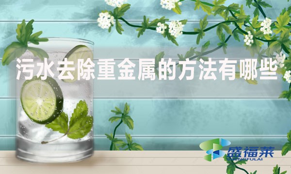 污水去除重金屬的方法有哪些？