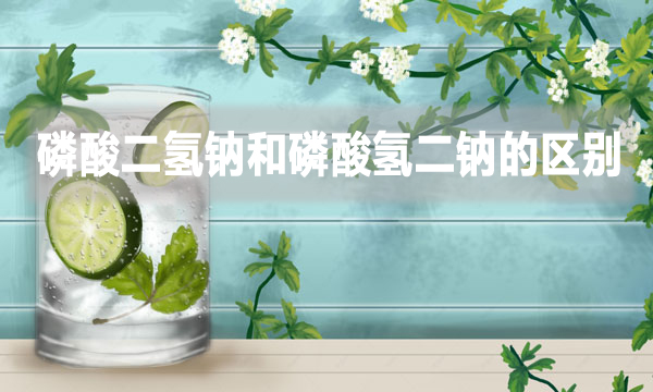 污水處理磷酸二氫鈉和磷酸氫二鈉的區(qū)別是什么？