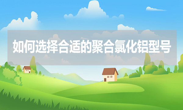 如何選擇合適的聚合氯化鋁型號？