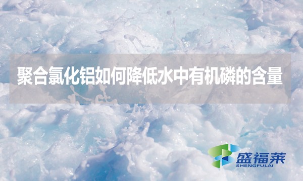 聚合氯化鋁如何降低水中有機磷的含量？