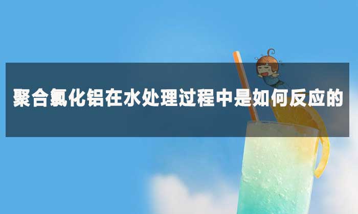 聚合氯化鋁在水處理過(guò)程中是如何反應(yīng)的?